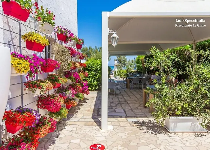 Apartment Pineta Mare *